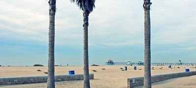 demo_images:
Palms
